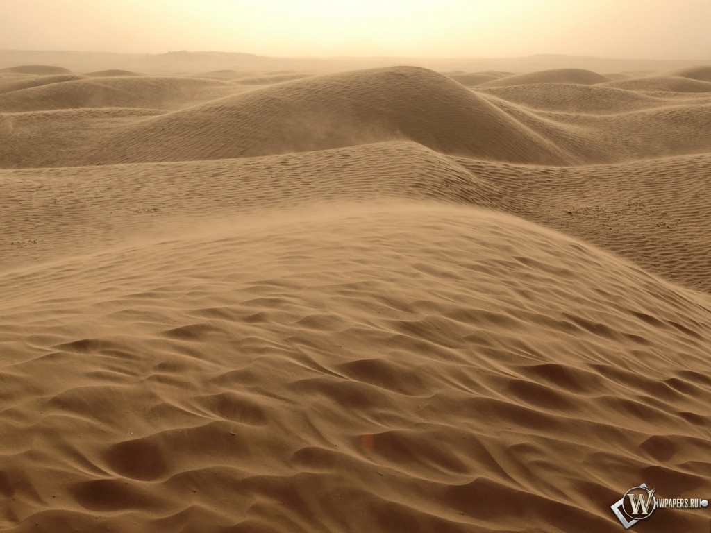 Песчаные дюны 1024x768