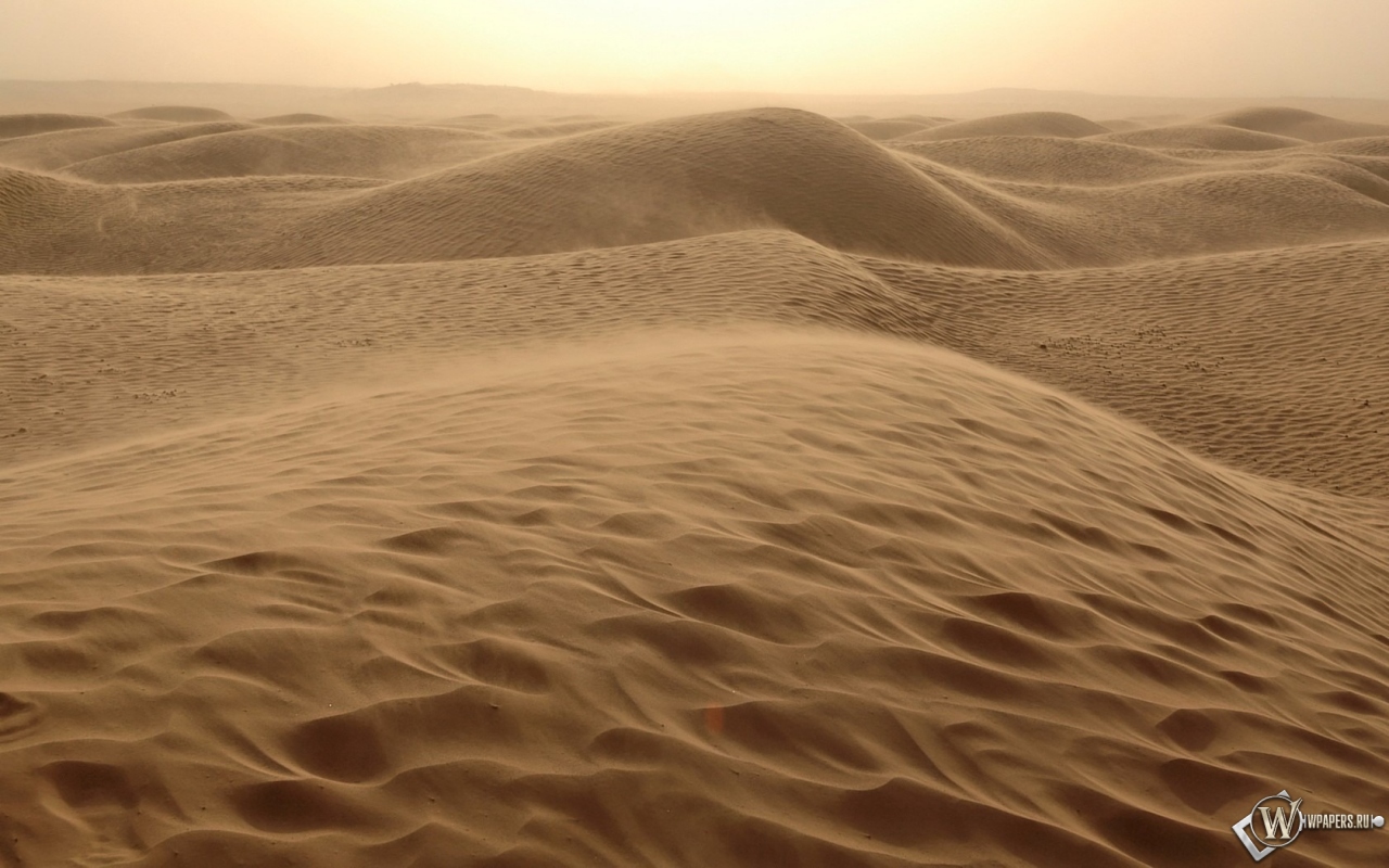 Песчаные дюны 1280x800