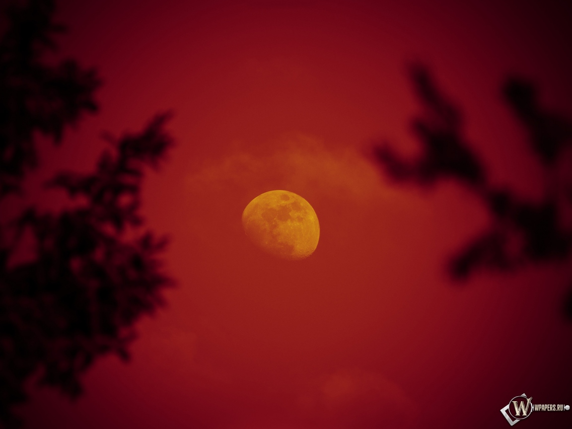 Красная луна 1152x864