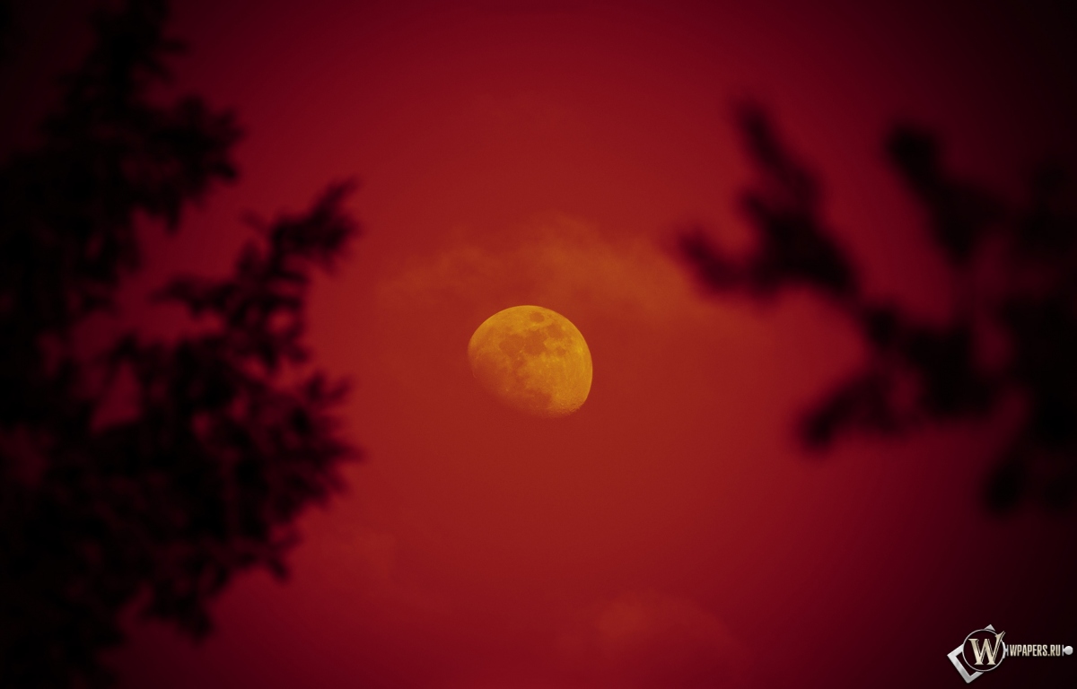 Красная луна 1200x768