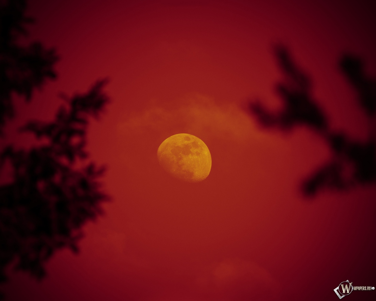 Красная луна 1280x1024