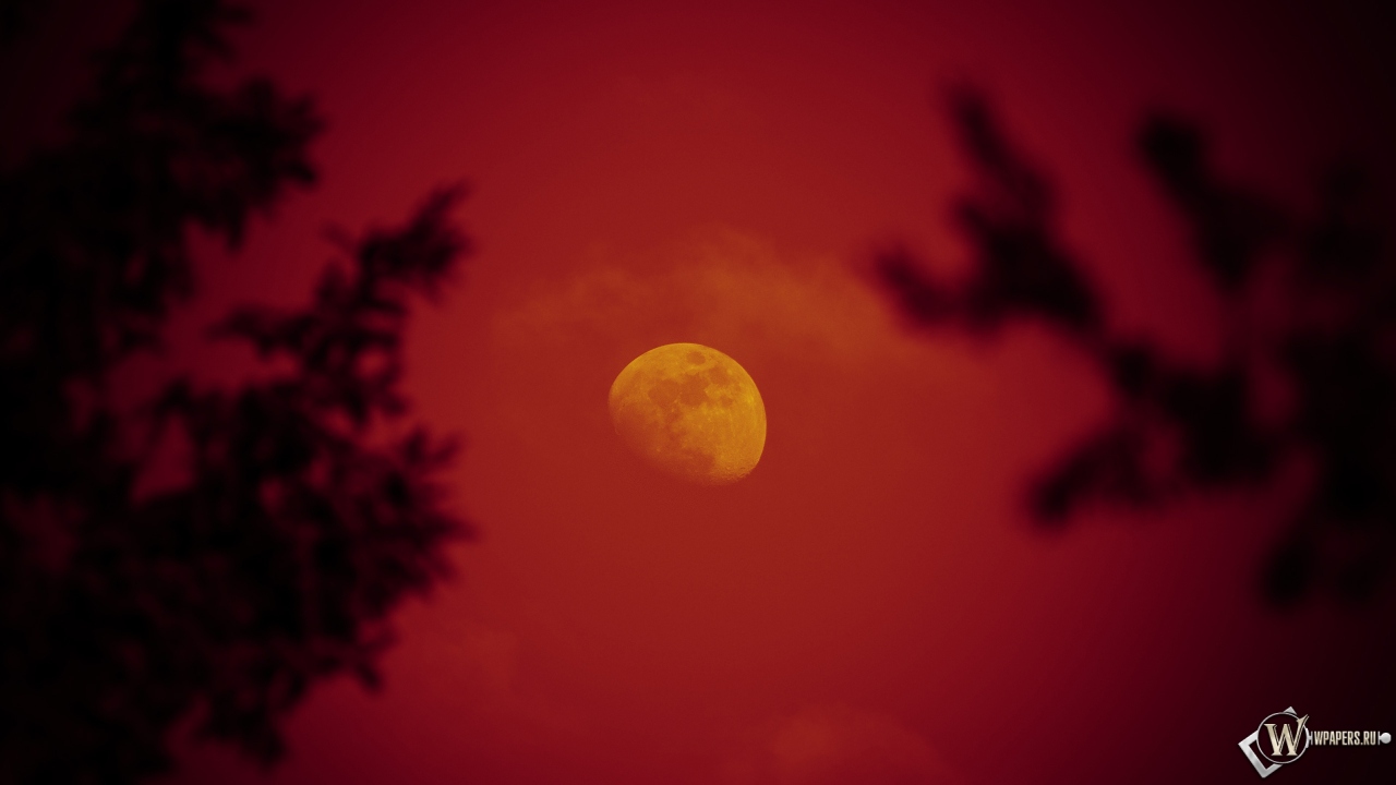 Красная луна 1280x720