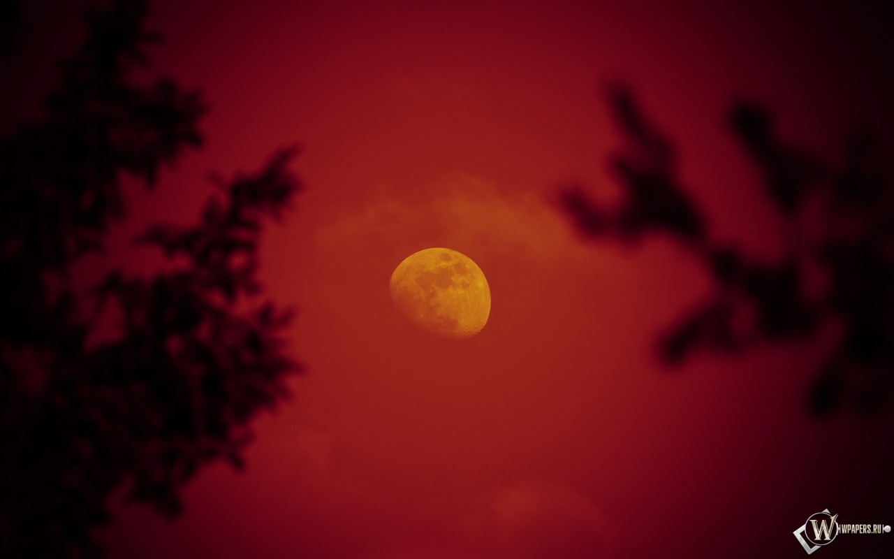 Красная луна 1280x800