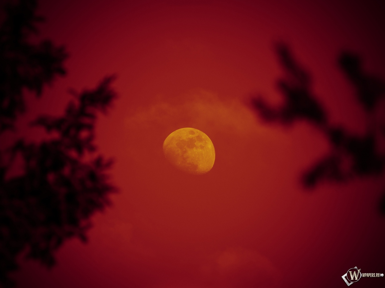 Красная луна 1280x960