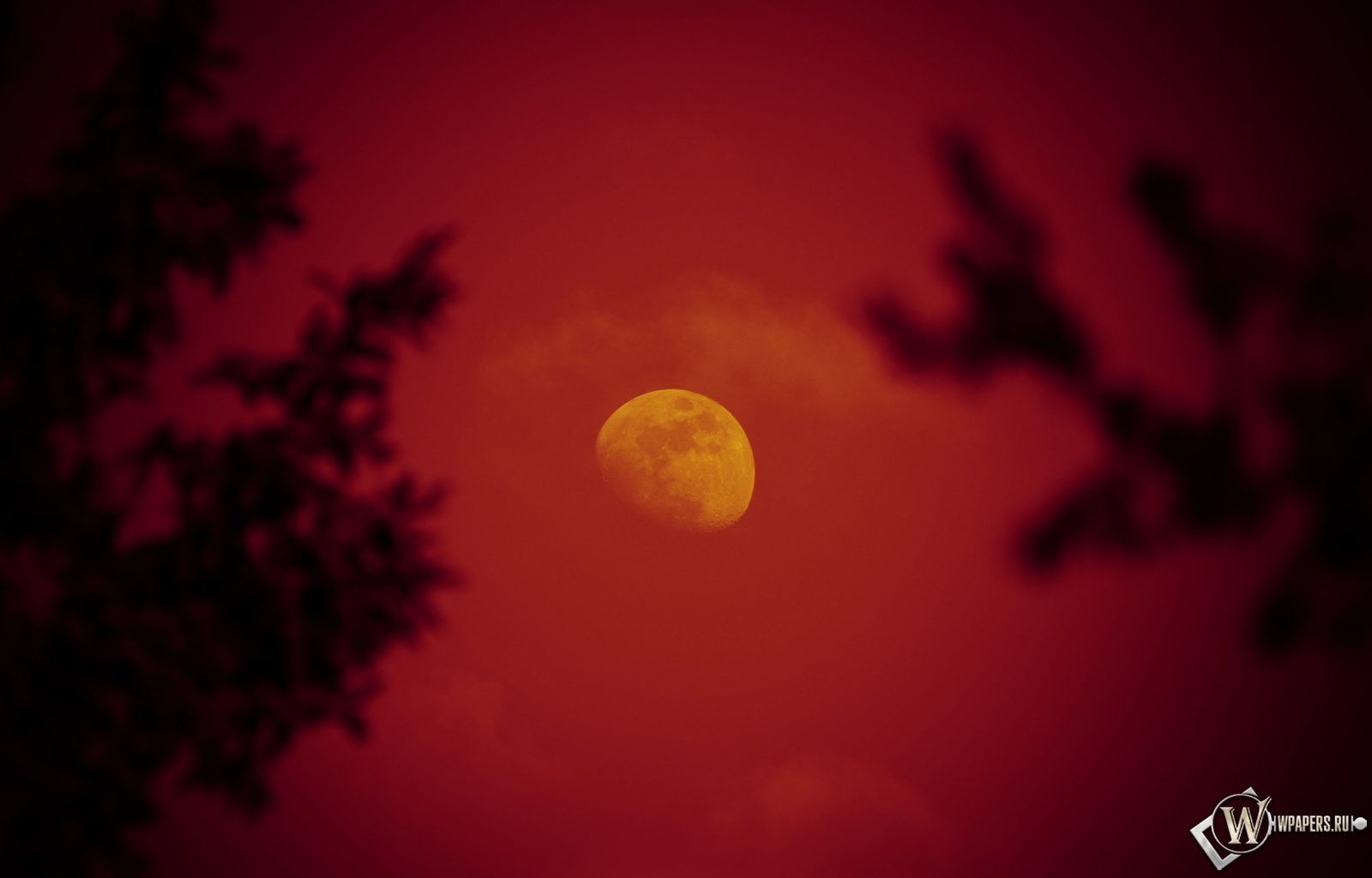 Красная луна 1600x1024