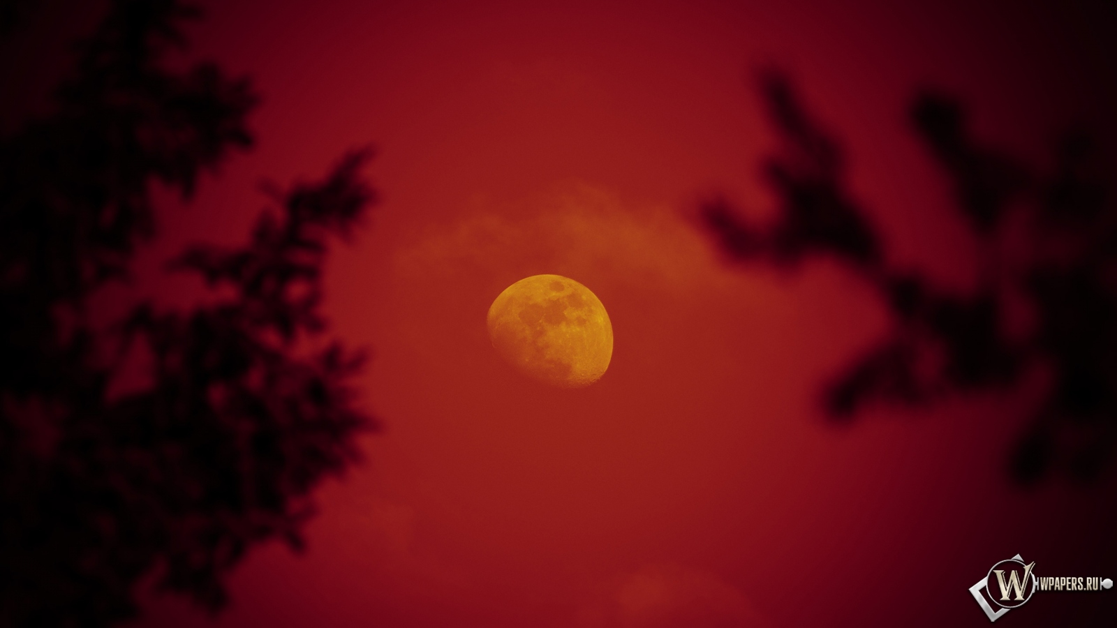Красная луна 1600x900