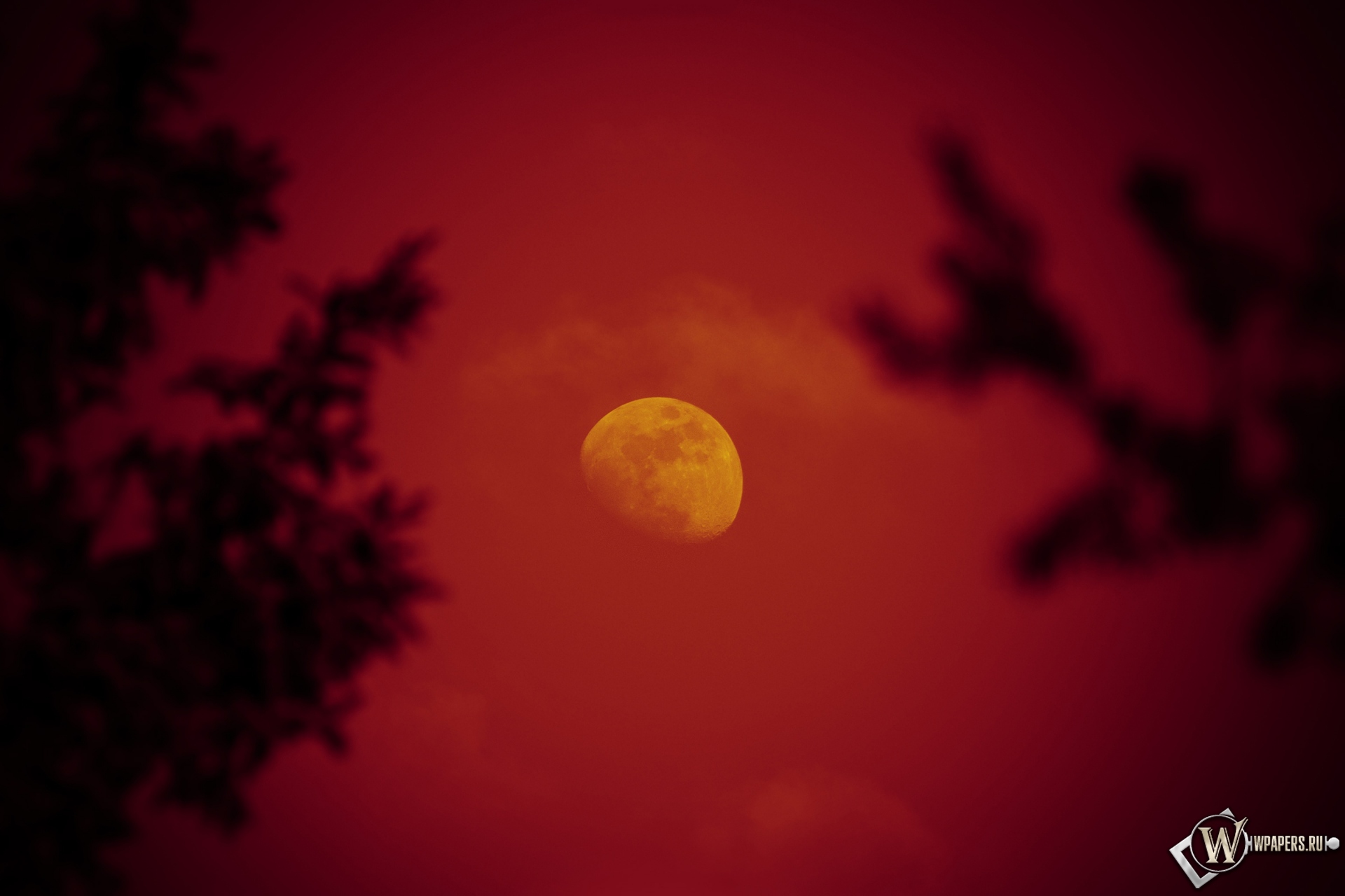 Красная луна 1920x1280