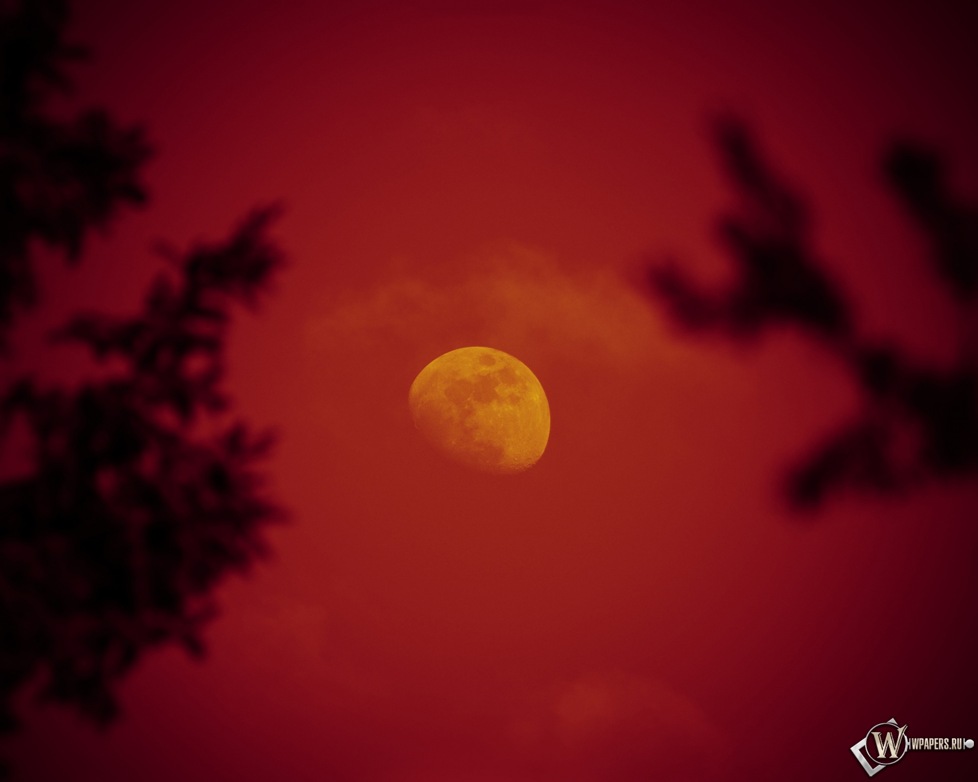 Красная луна 1920x1536