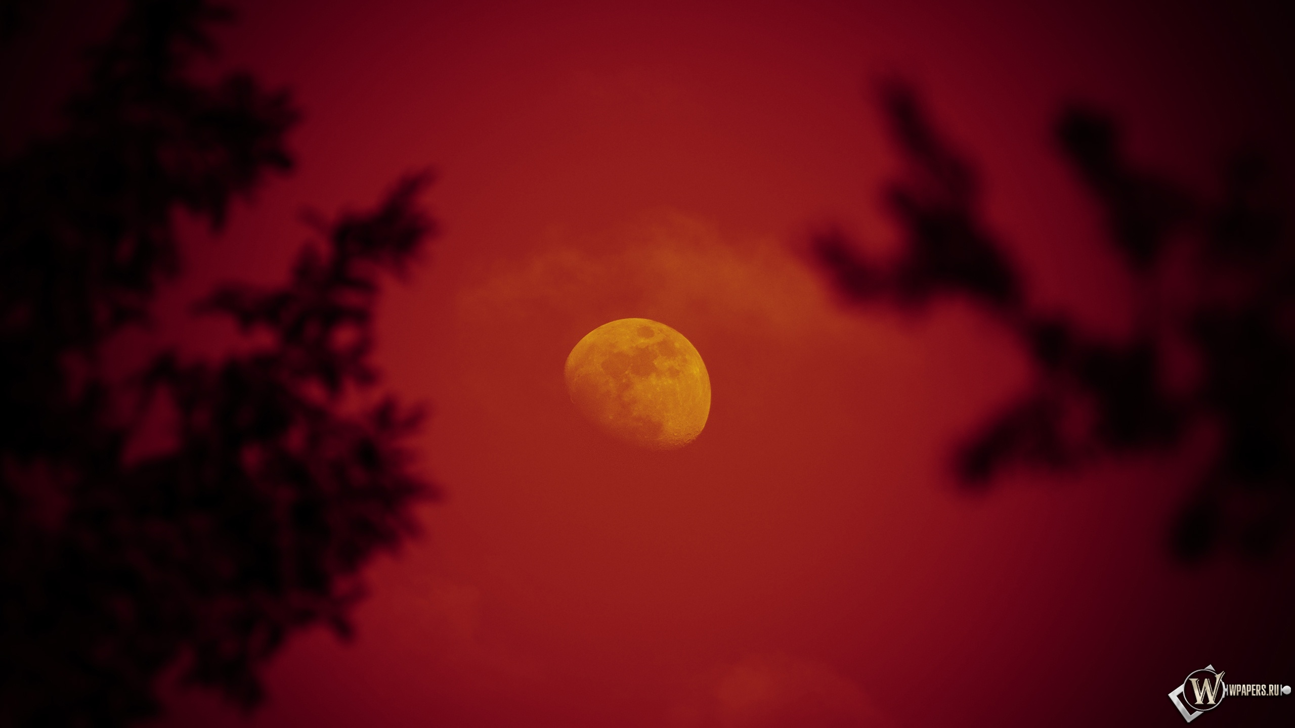 Красная луна 2560x1440