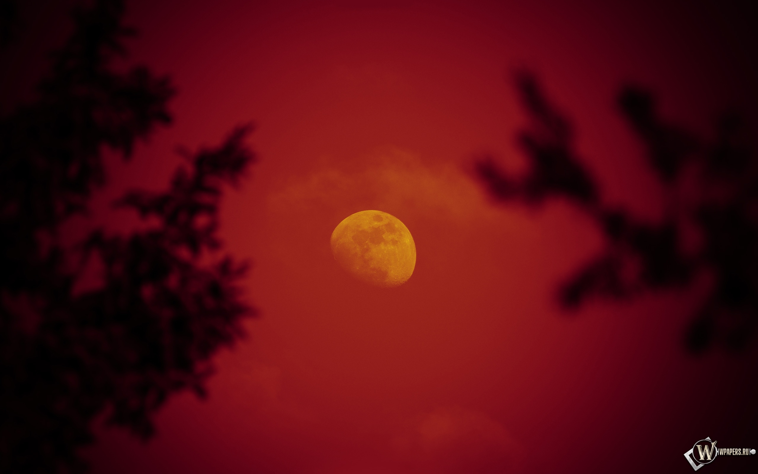 Красная луна 2560x1600