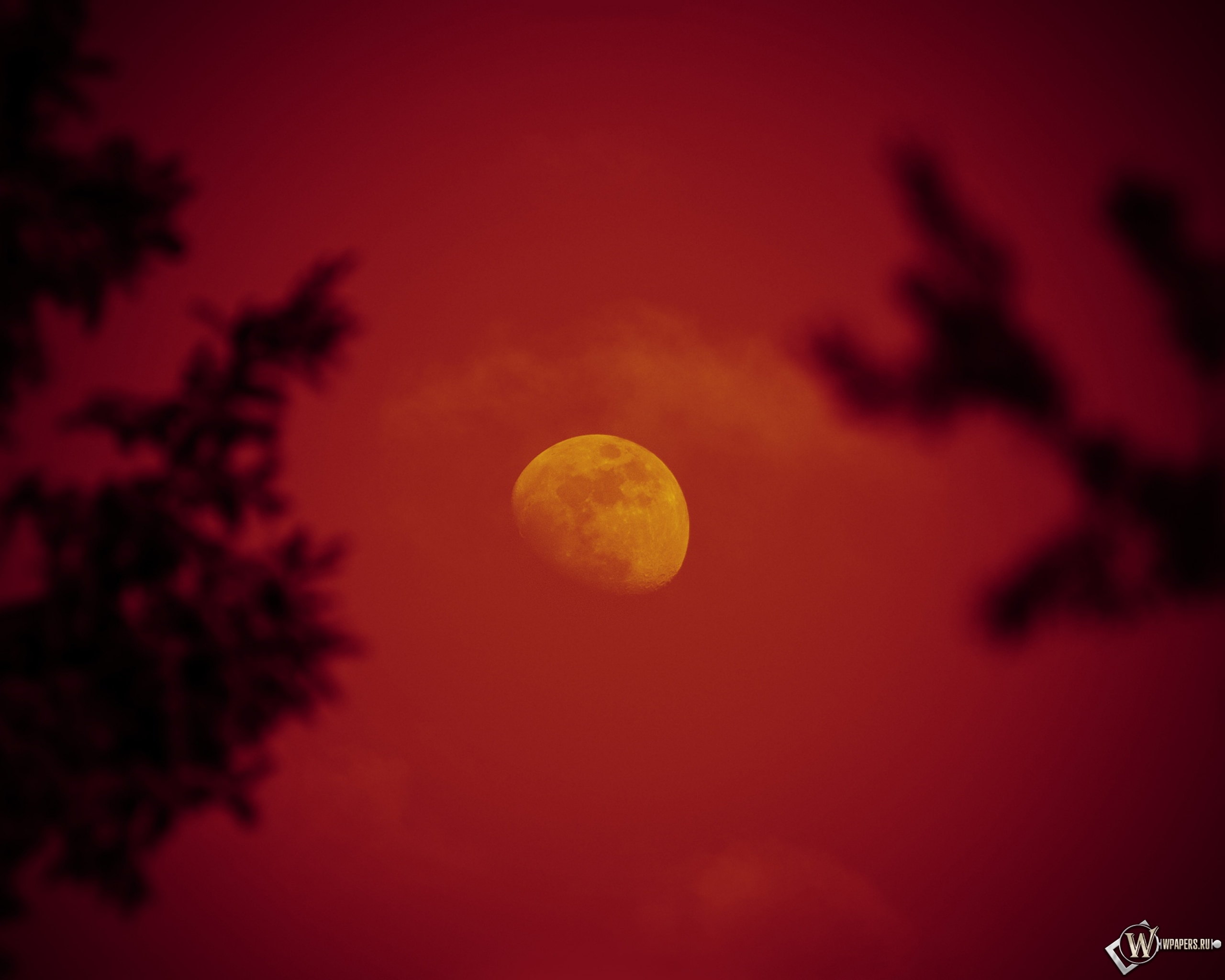Красная луна 2560x2048
