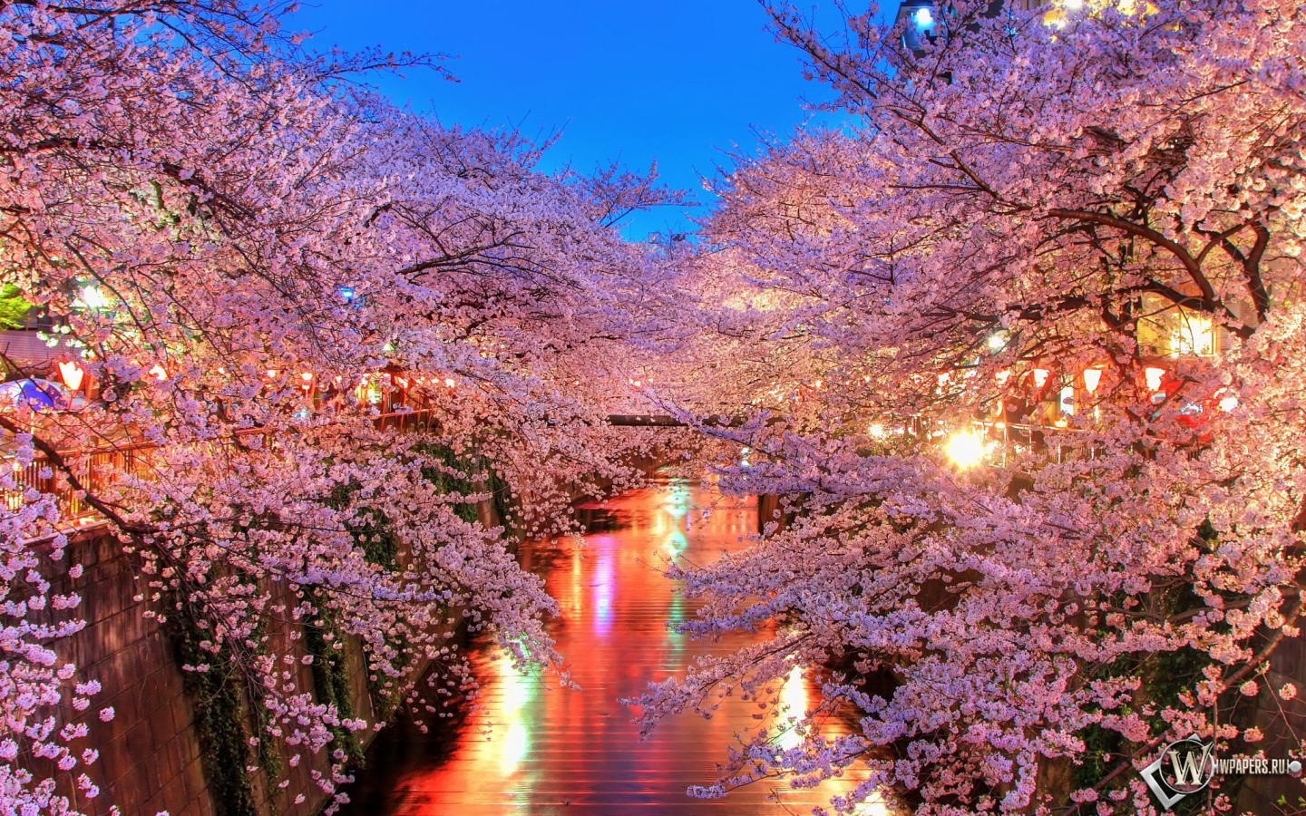 Японский сад 1440x900