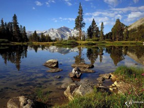 Обои Озеро в горах: Горы, Альпы, Снежные вершины, Чистая вода, Сосны, Прочие пейзажи