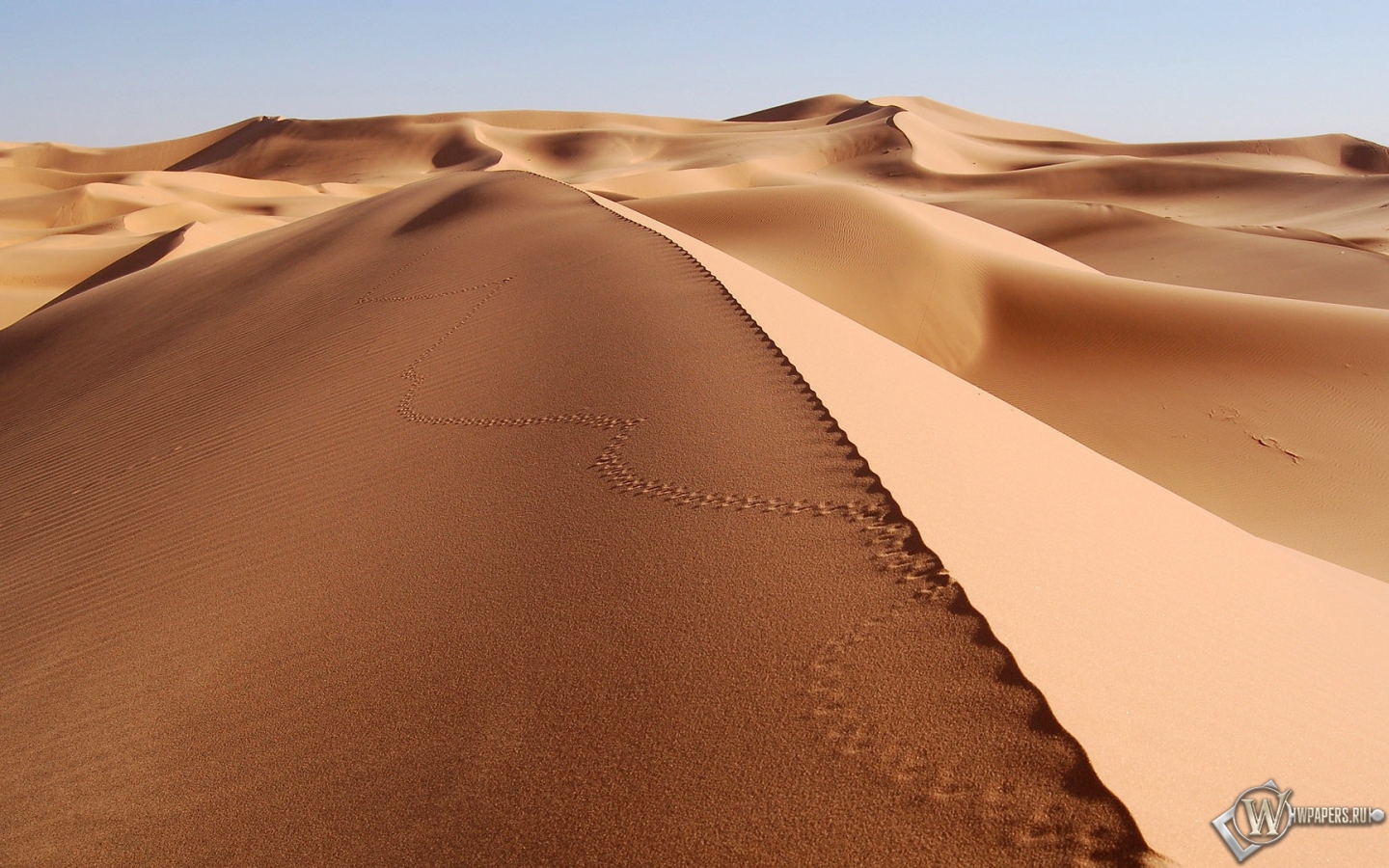Пустыня 1440x900