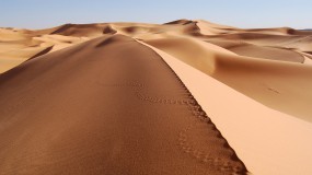 Обои Пустыня: Пустыня, Песок, Следы, Природа
