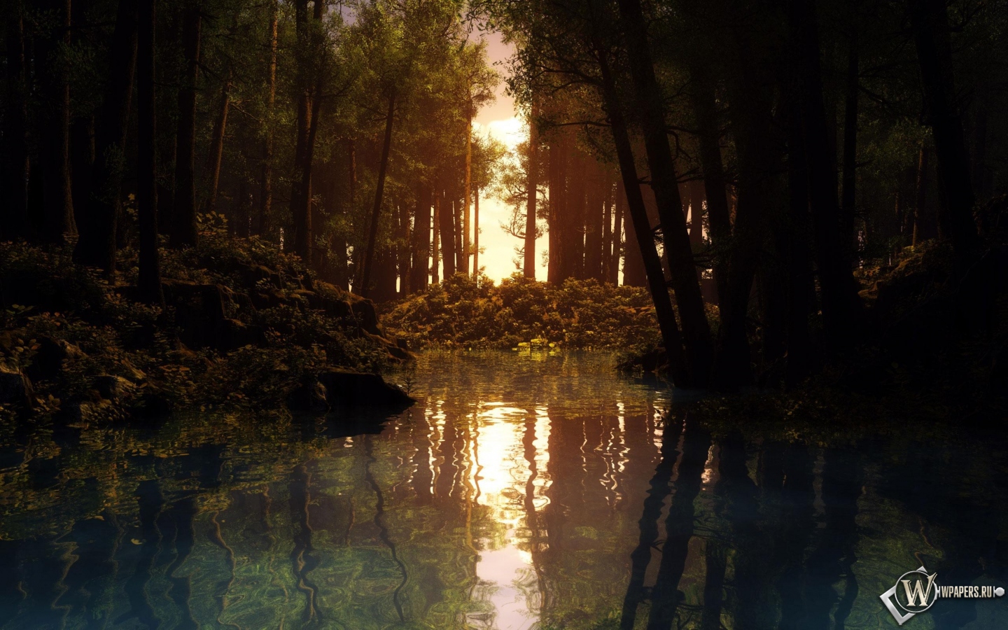 Речка в лесу 1440x900