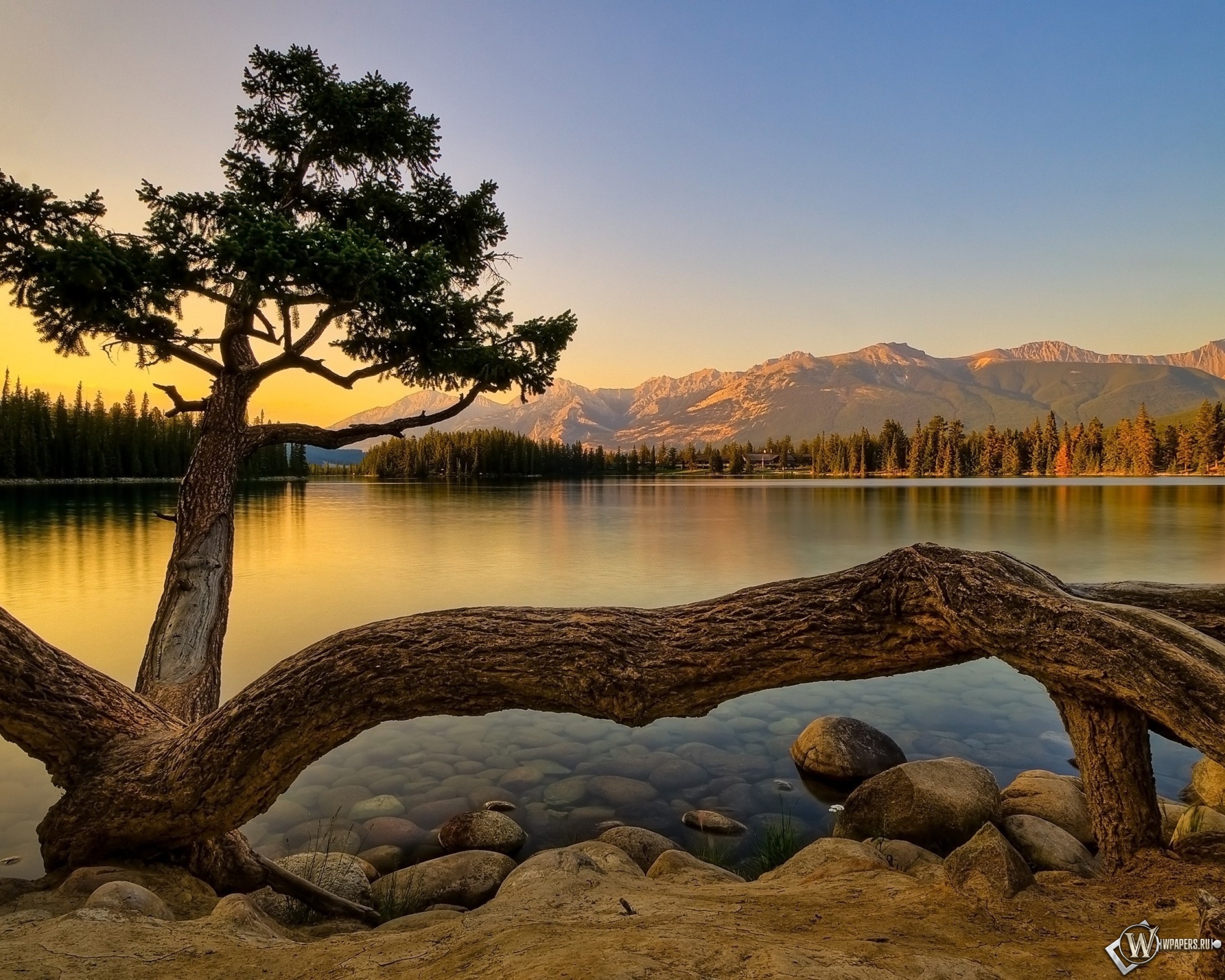 Tragamonedas de la naturaleza