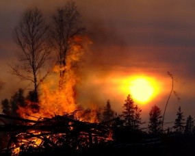 Обои Лесные пожары: Солнце, Дерево, Пожар, Прочие пейзажи
