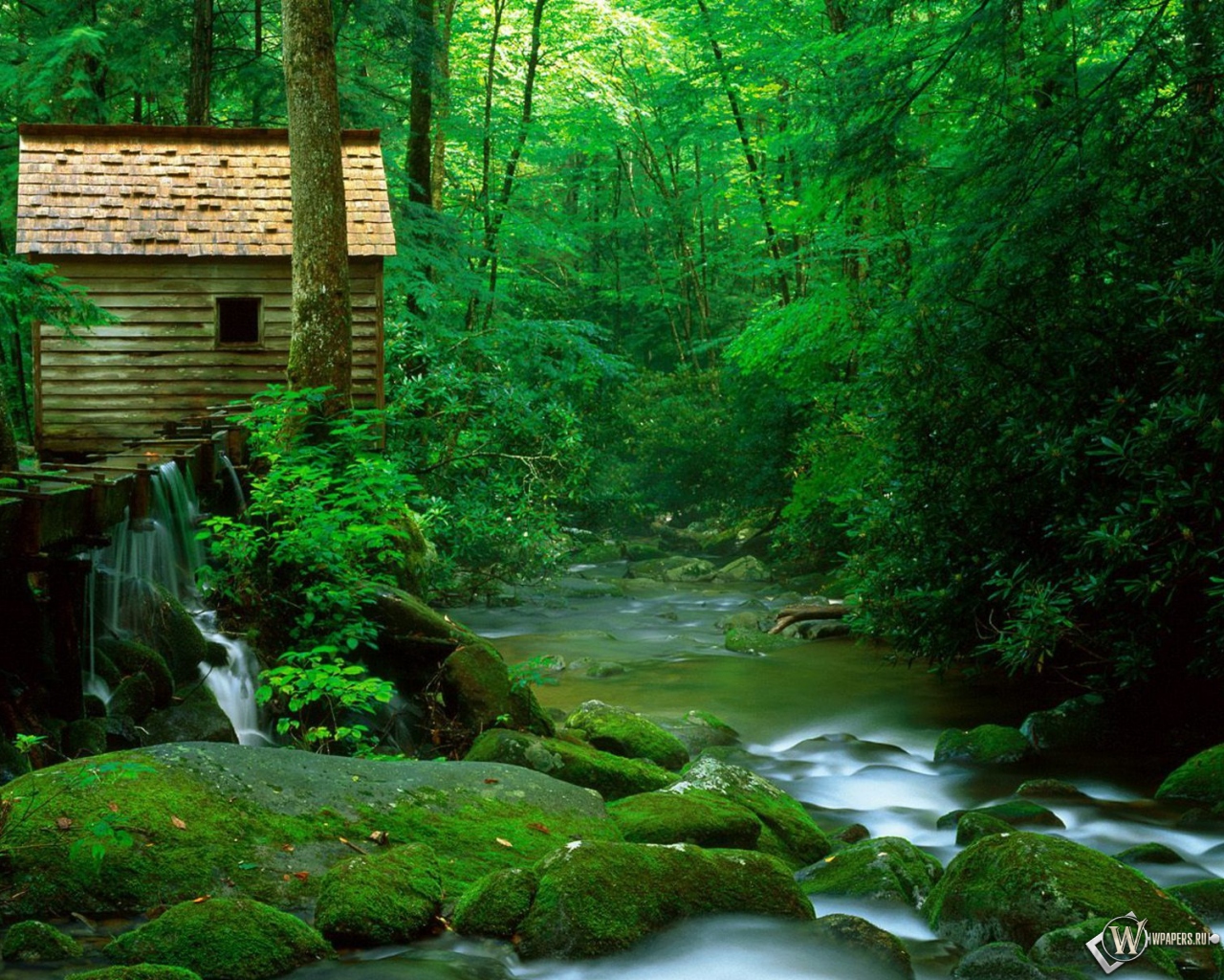 Лесной домик 1280x1024