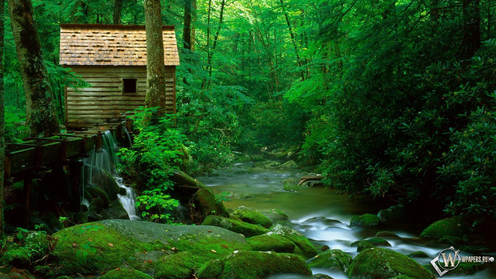 Лесной домик 1600x900