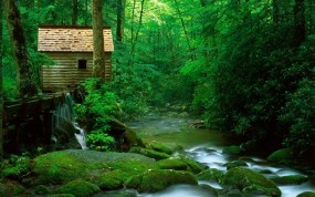 Обои Лесной домик: Вода, Лес, Туман, Зелёный, Хижина, Домик, Прочие пейзажи