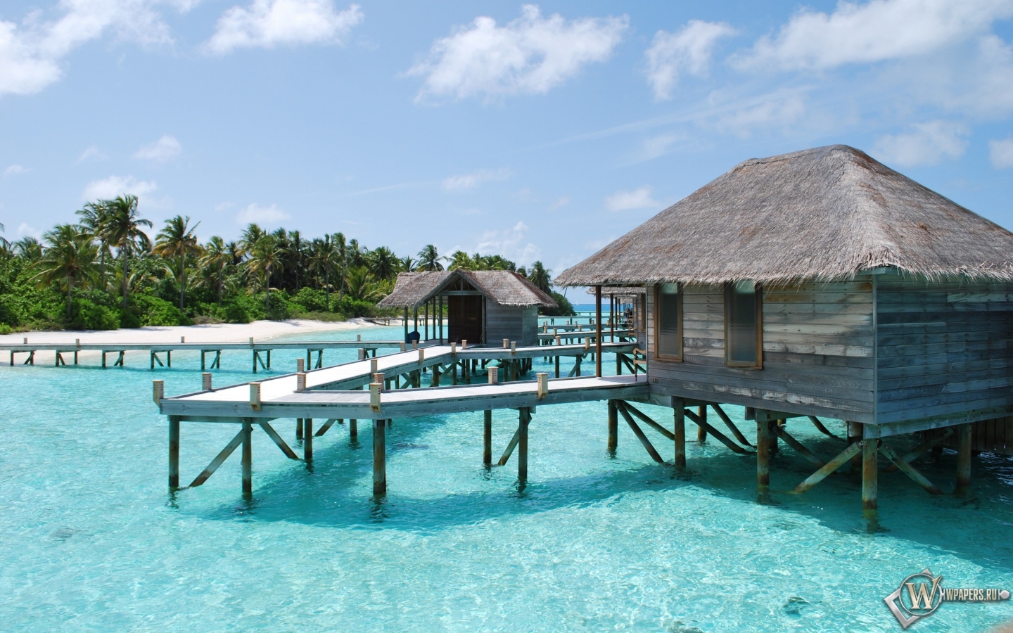 Maldives 1440x900