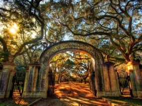 Обои Ворота в парк: Деревья, Солнце, Парк, Аллея, Ворота, Вход, Прочие пейзажи