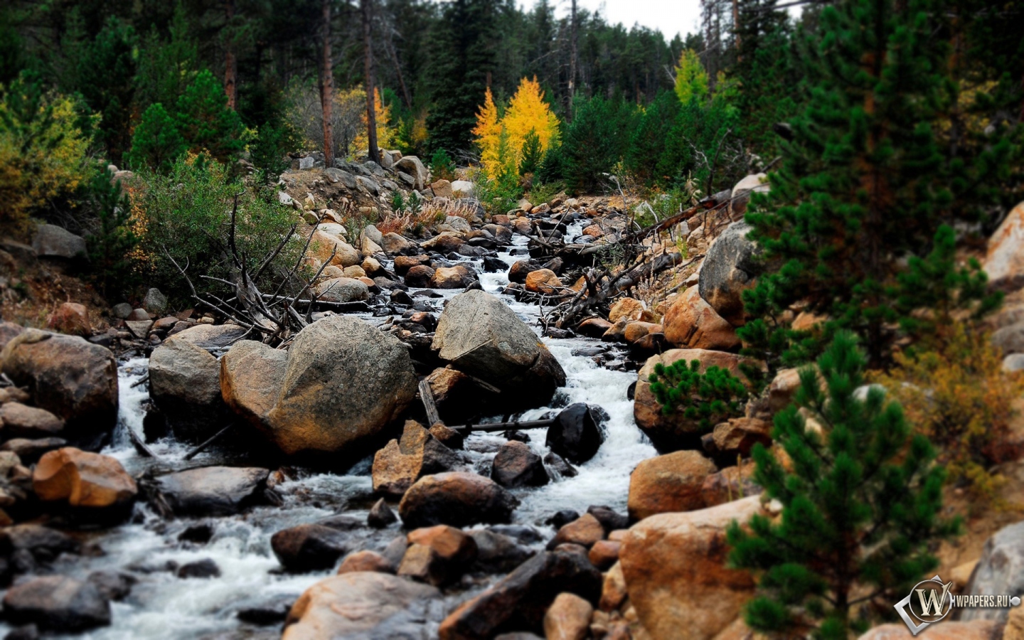 Горный ручей Rocky Mountains 1440x900