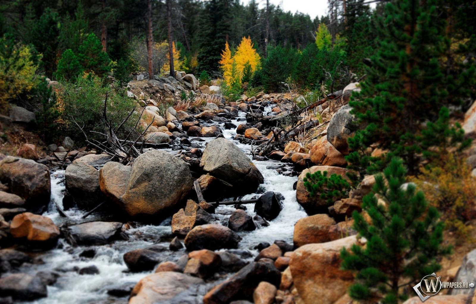 Горный ручей Rocky Mountains 1600x1024