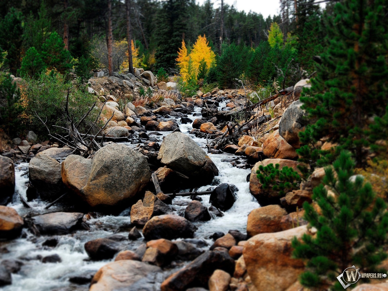 Горный ручей Rocky Mountains 1600x1200