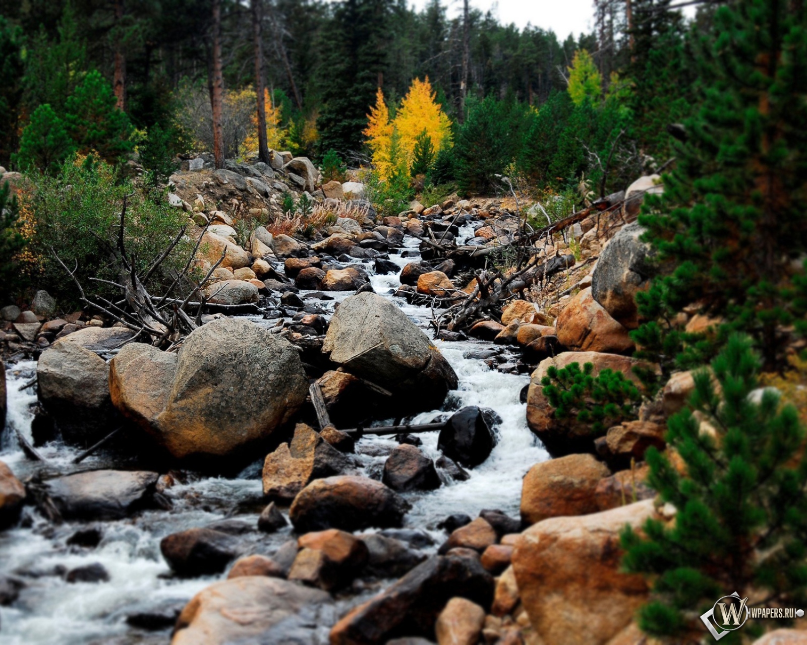 Горный ручей Rocky Mountains 1600x1280