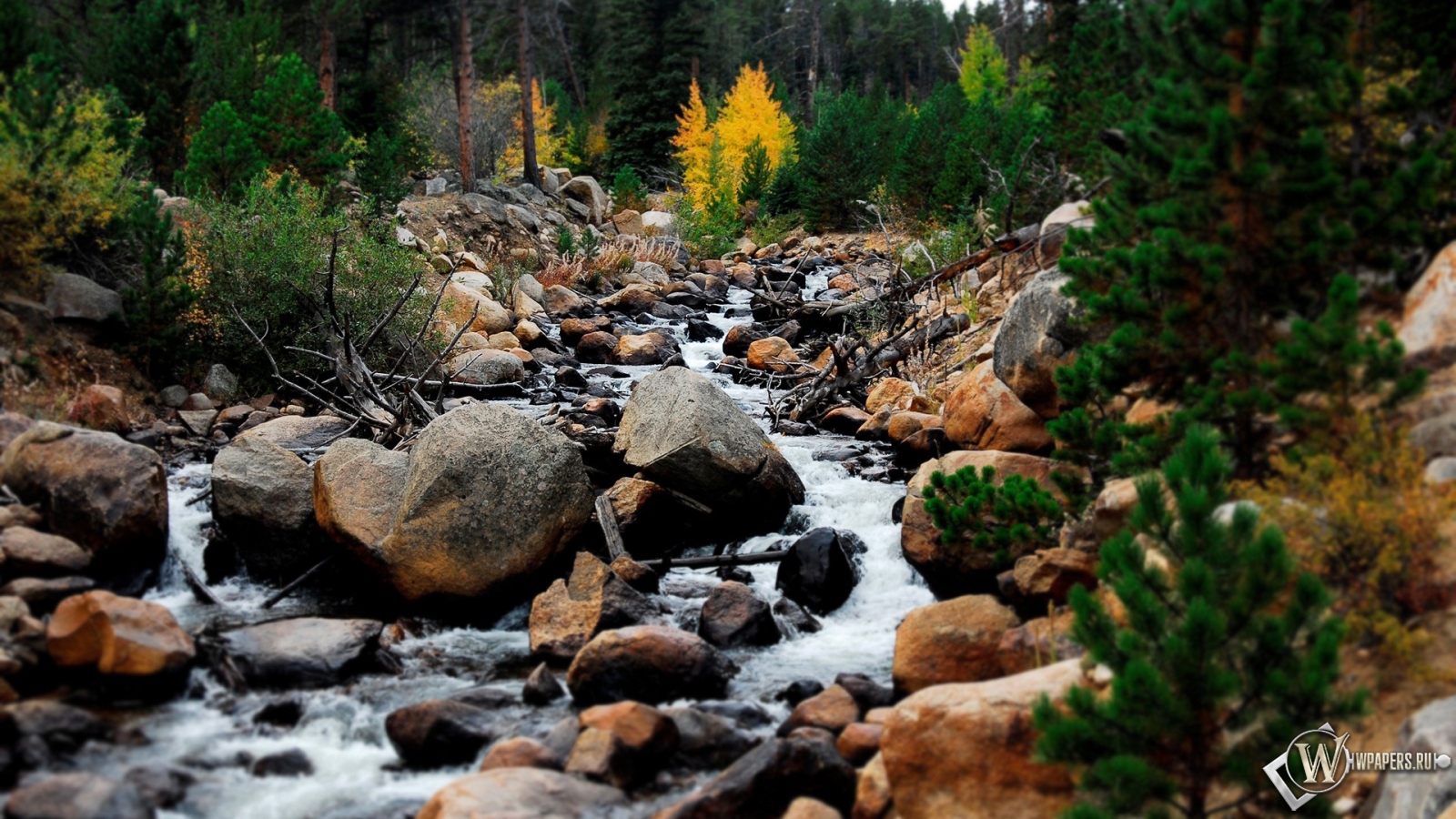 Горный ручей Rocky Mountains 1600x900