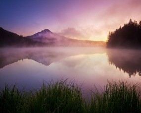 Обои Туман на озере: Туман, Озеро, Трава, Гора, Прочие пейзажи