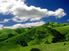 Зелёные горы