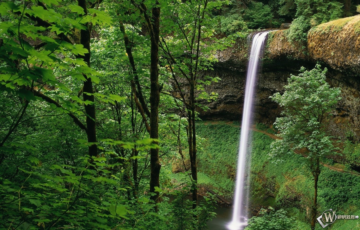Водопад в лесу 1200x768