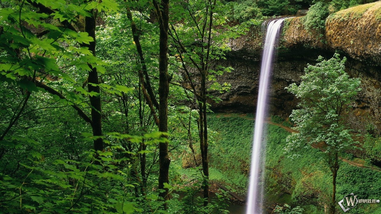 Водопад в лесу 1280x720