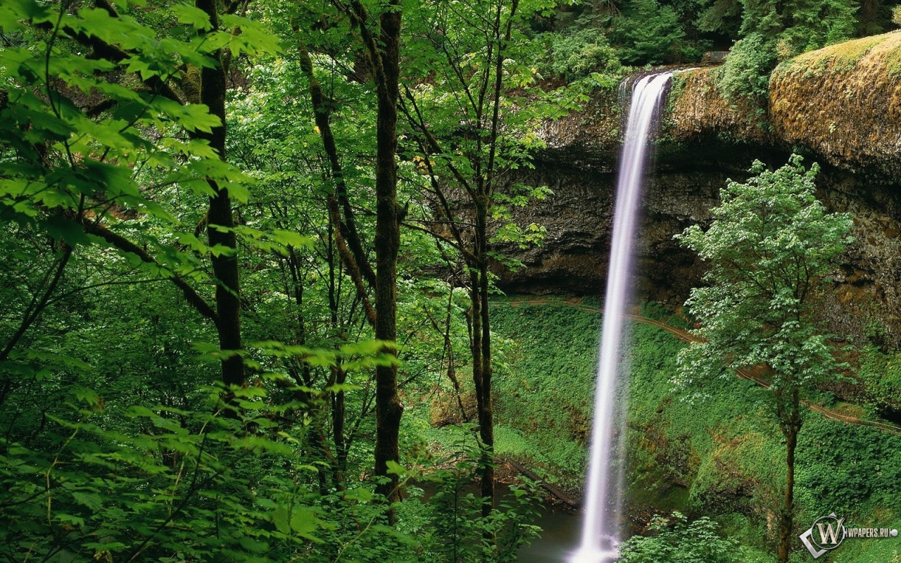 Водопад в лесу 1280x800