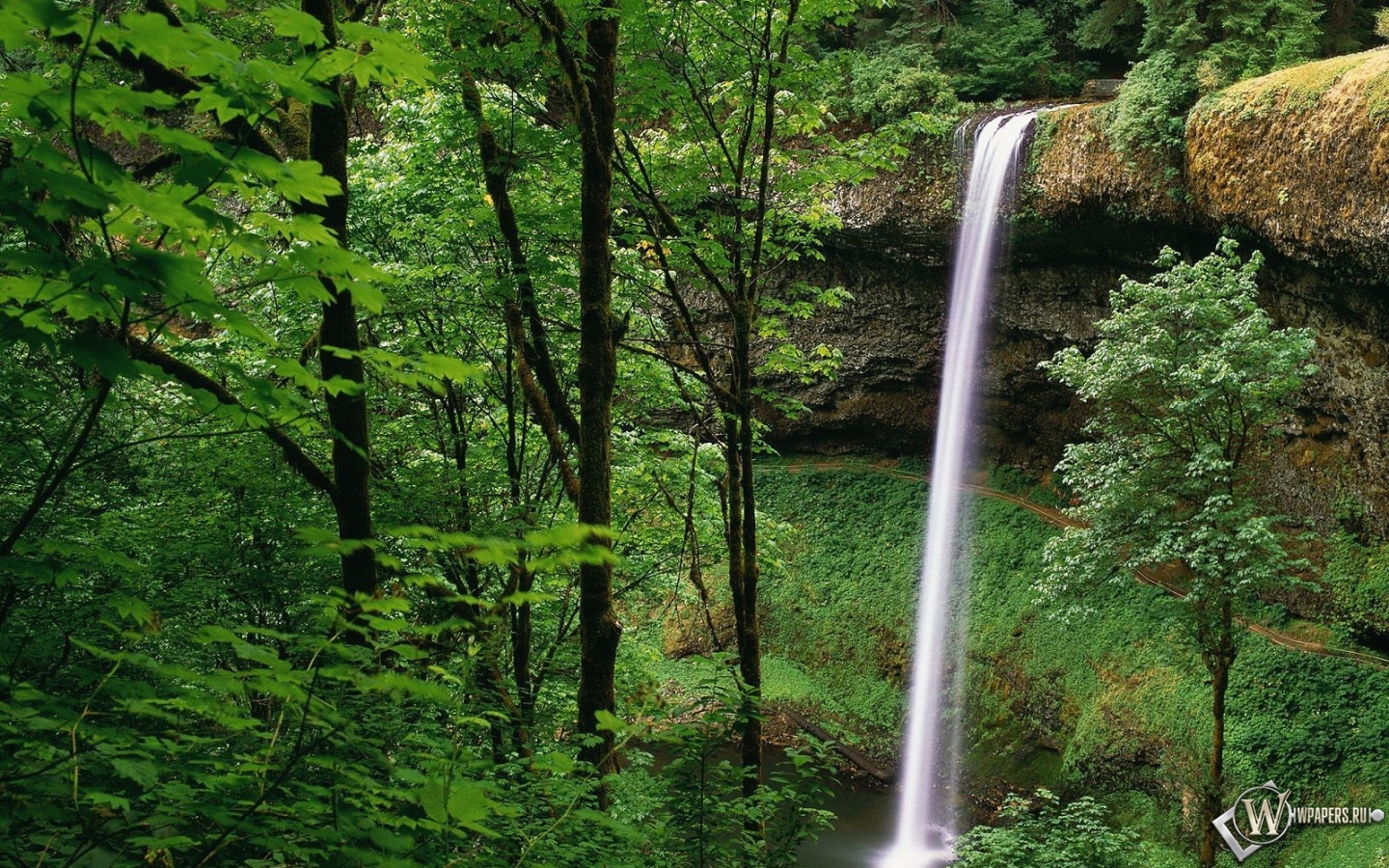 Водопад в лесу 1440x900