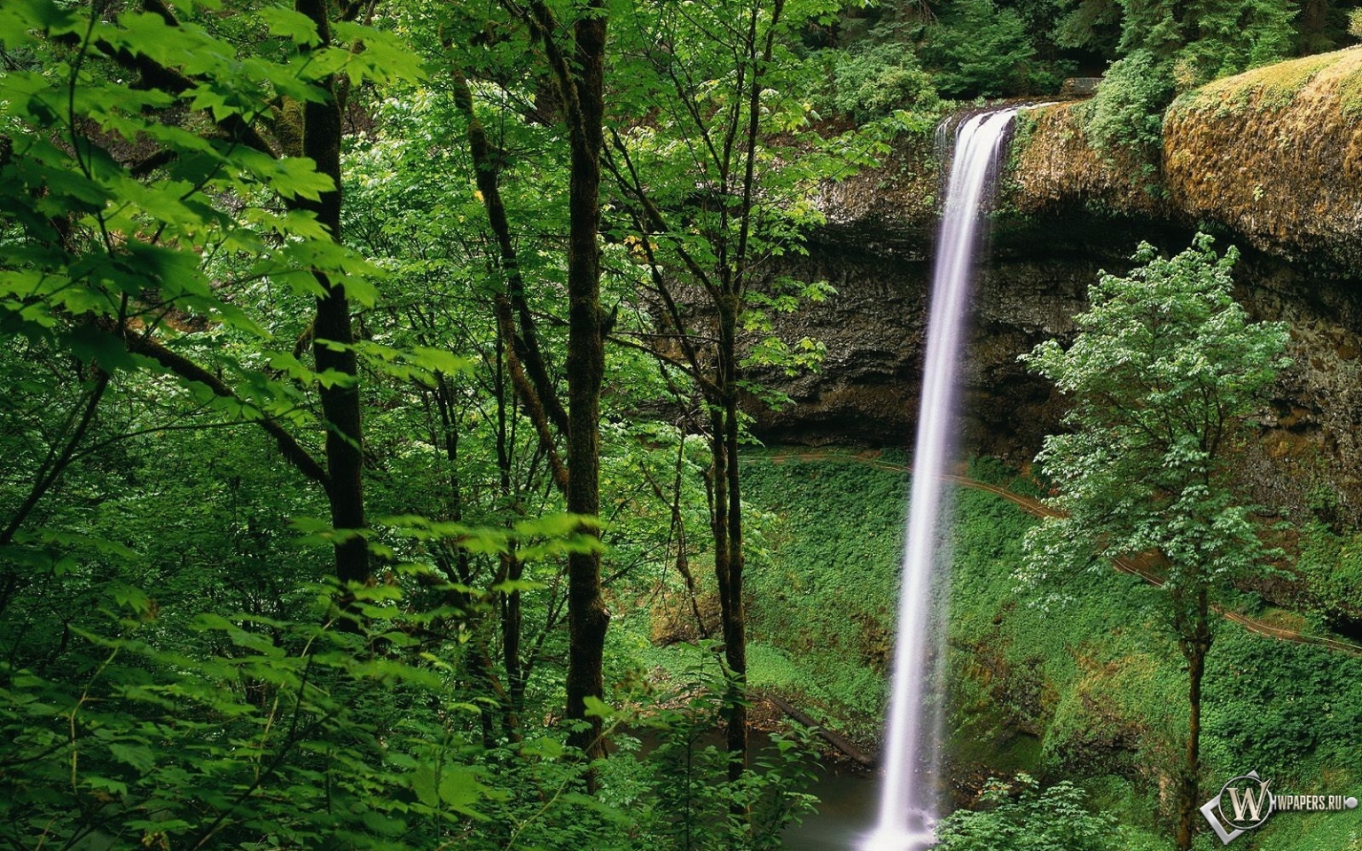Водопад в лесу 1536x960