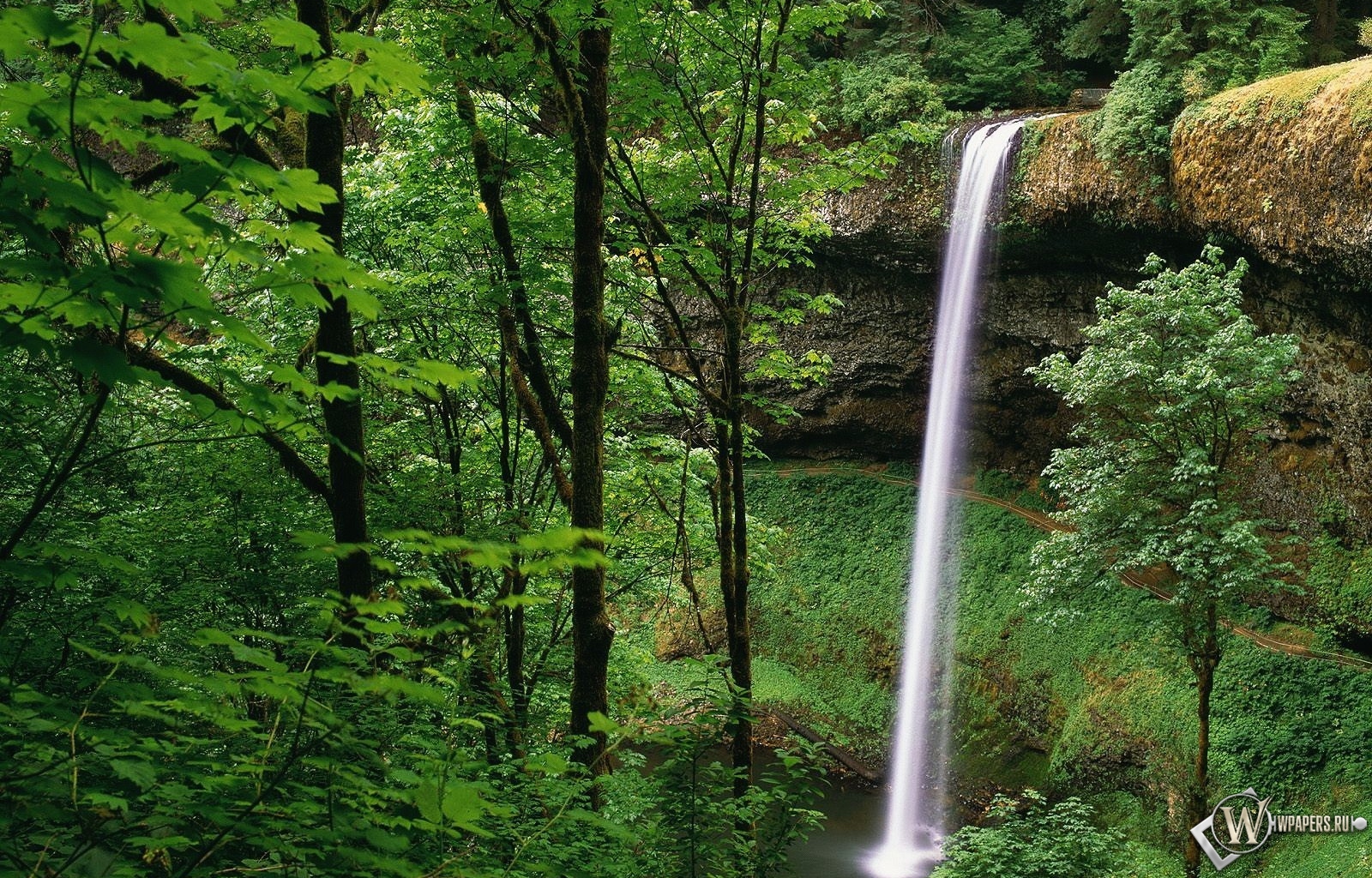 Водопад в лесу 1600x1024