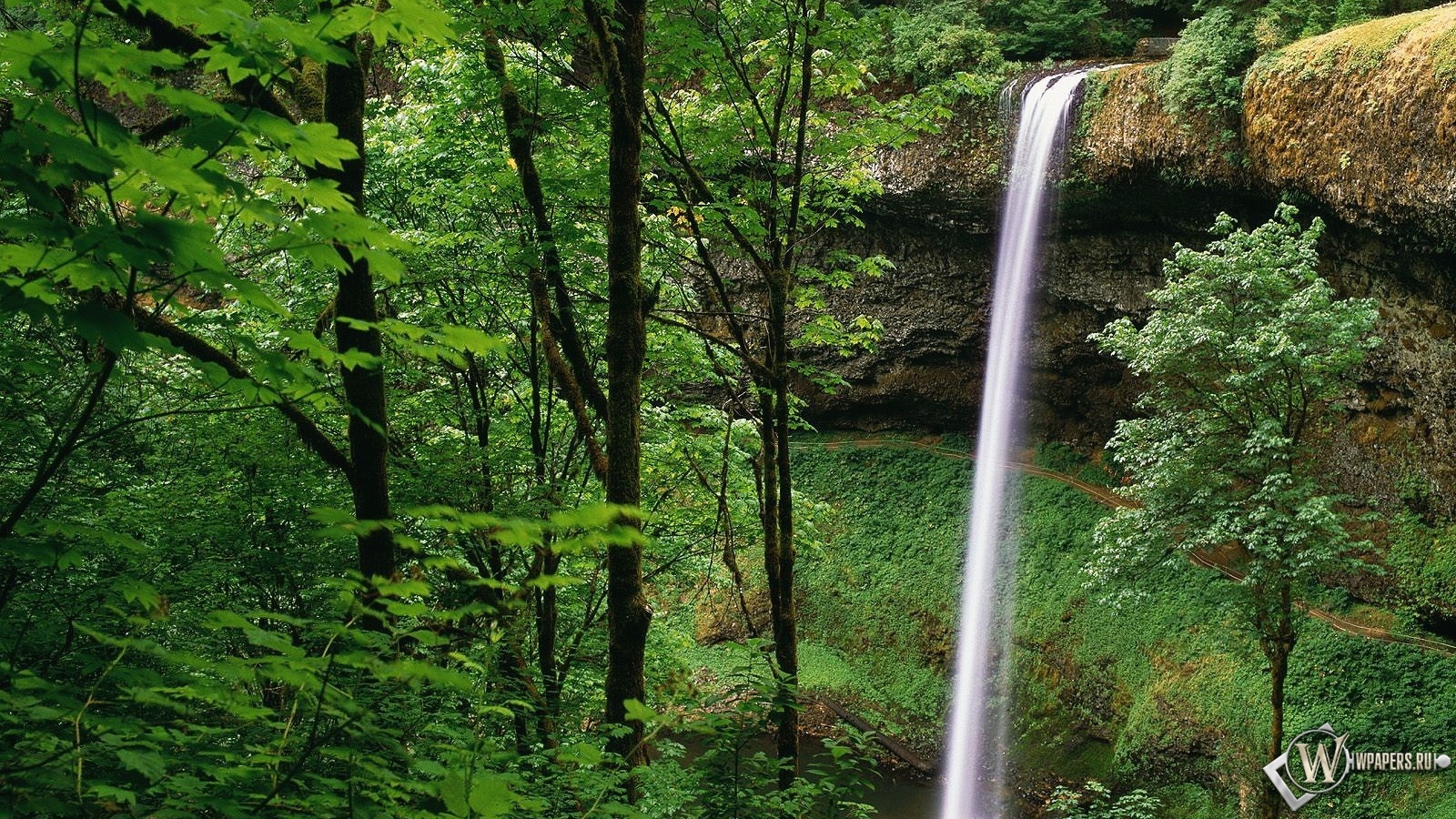Водопад в лесу 1600x900