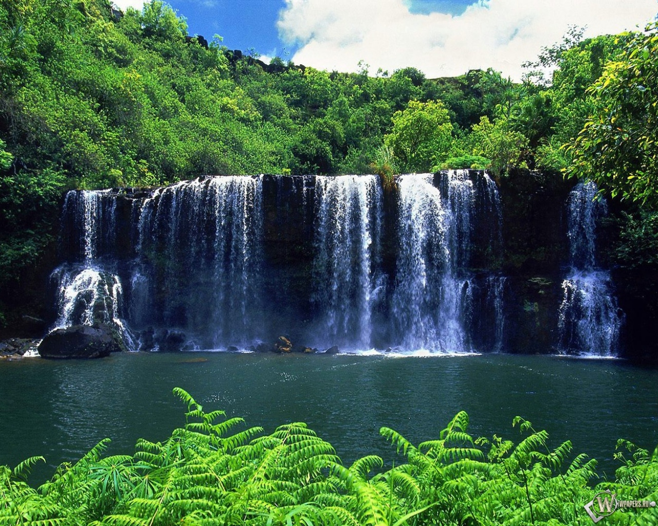 Тропический Водопад  1280x1024