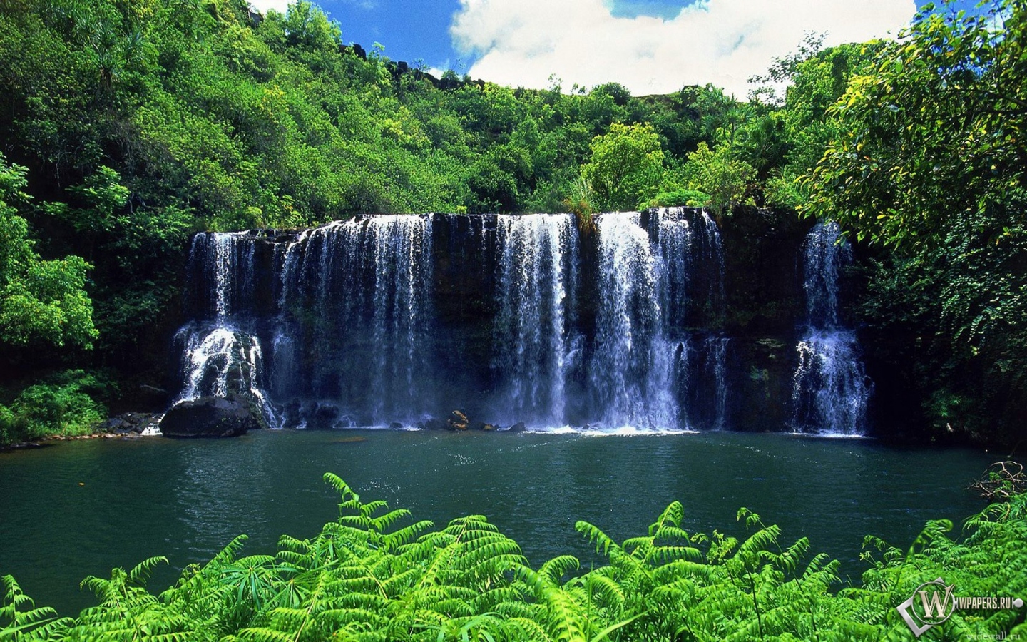 Тропический Водопад  1440x900