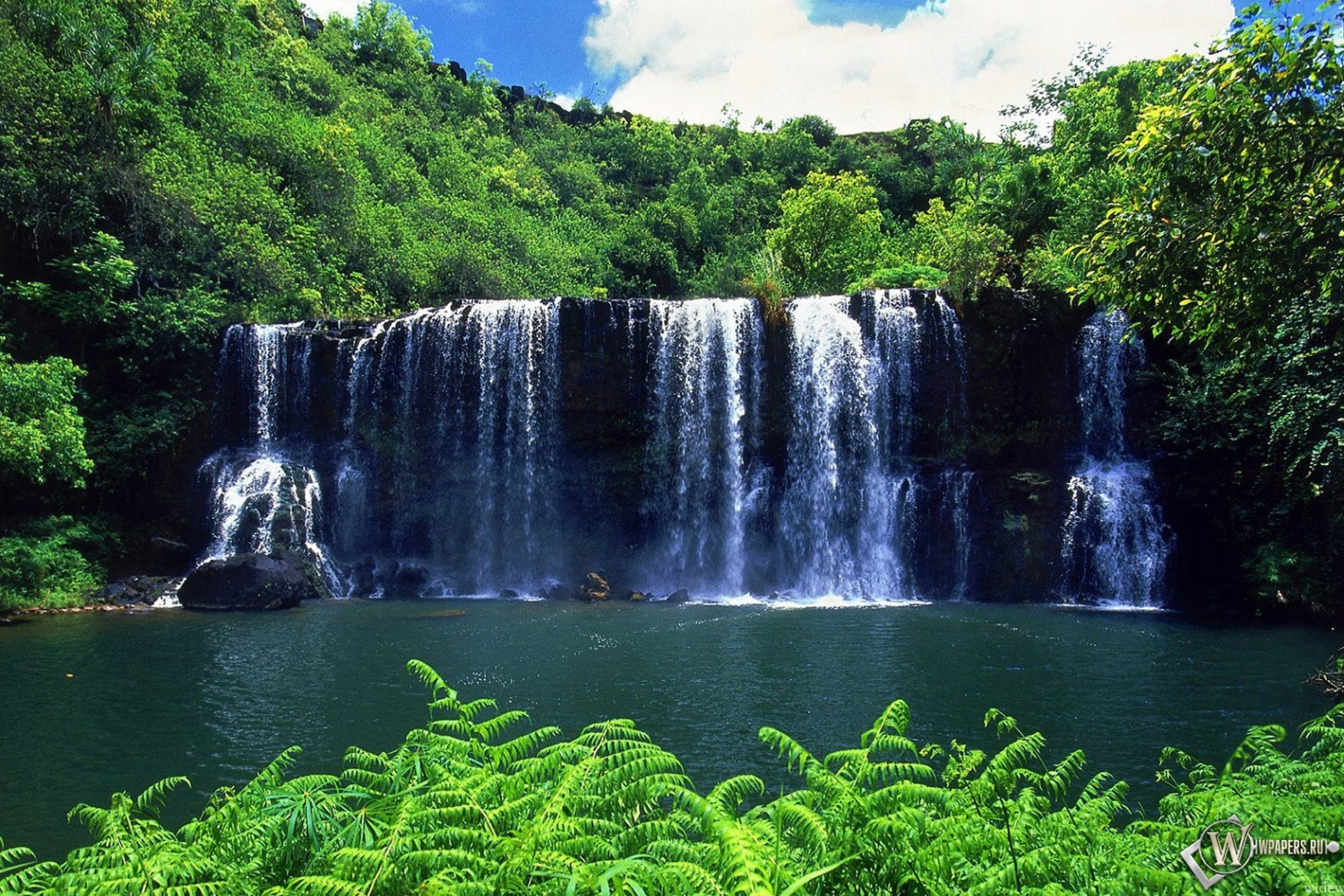 Тропический Водопад  1500x1000