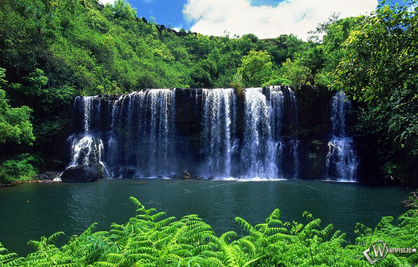 Тропический Водопад  1600x1024