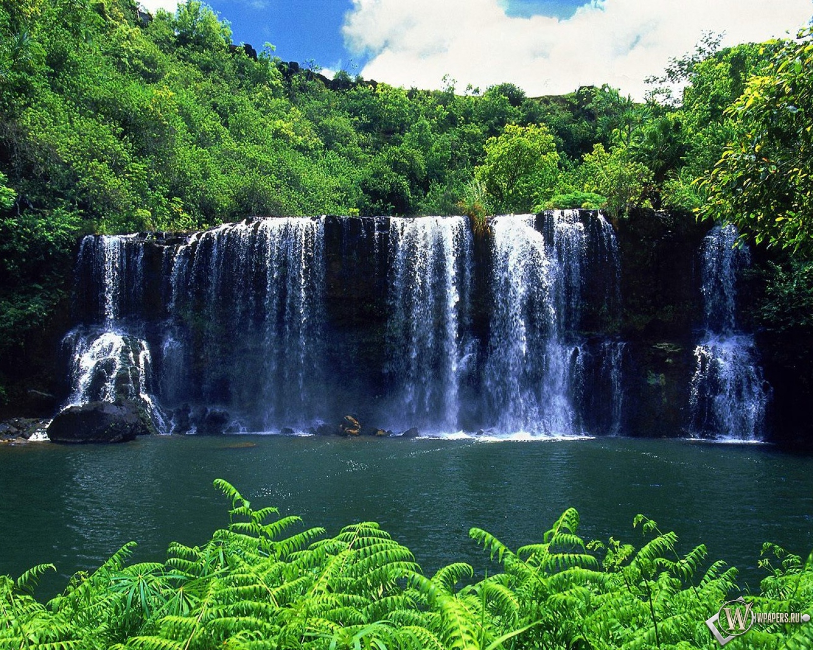 Тропический Водопад  1600x1280