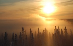 Обои Зимний рассвет: Зима, Деревья, Солнце, Туман, Зима