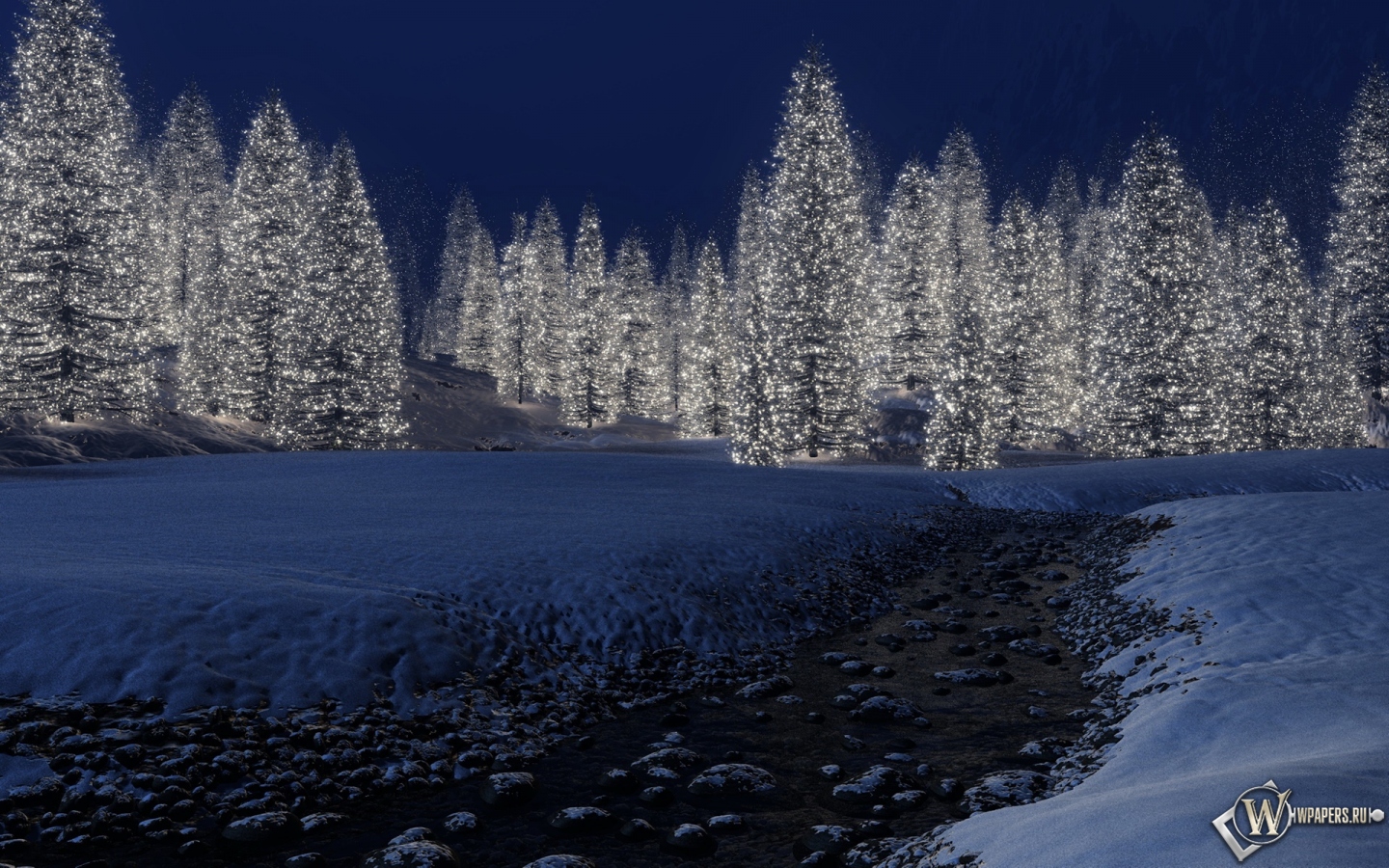 Светящийся лес 1440x900