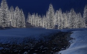 Обои Светящийся лес: Фонари, Зима, Лес, Деревья, Лампочки, Зима