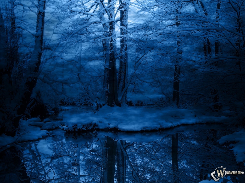 Зимняя ночь в лесу 1024x768